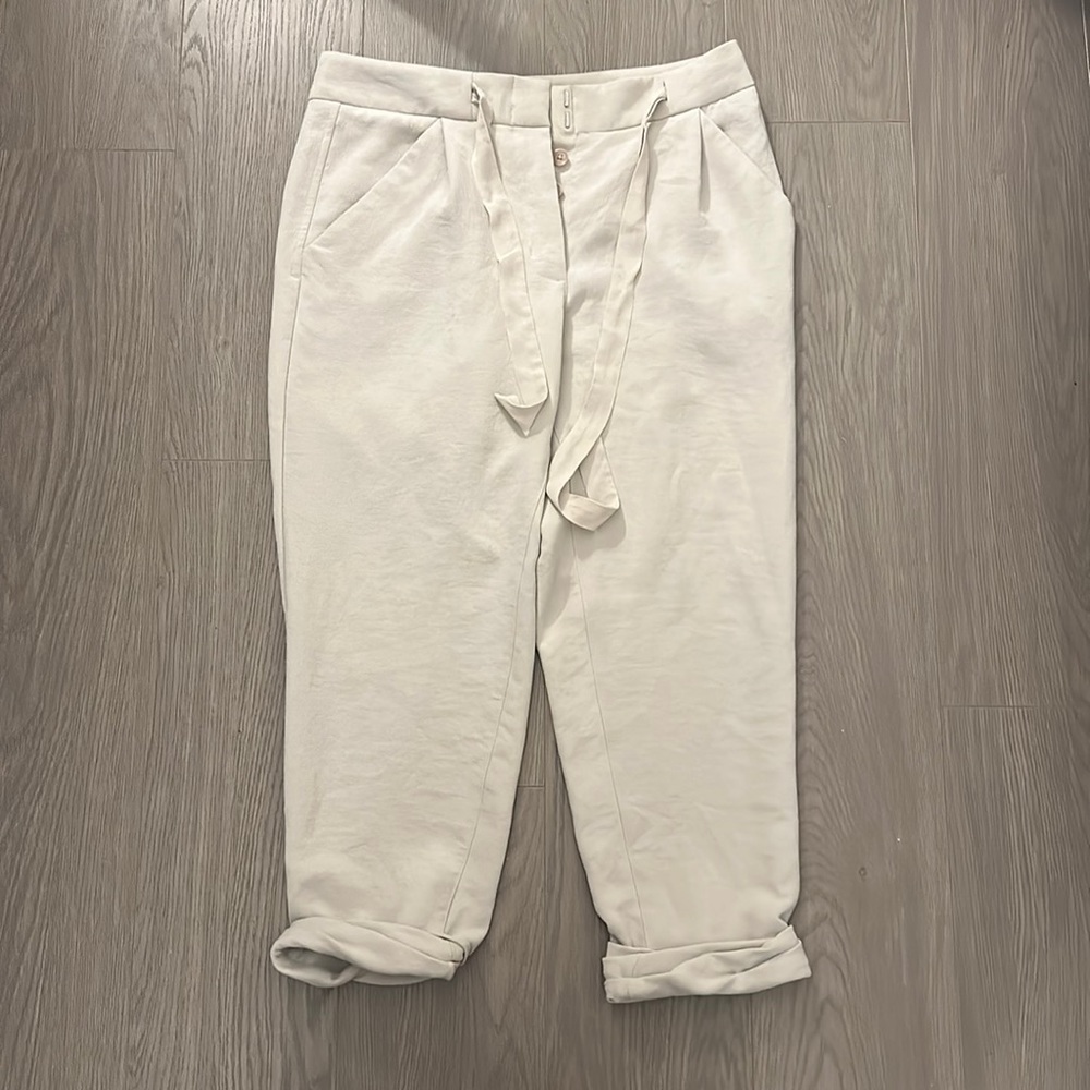 Aritizia Allant Pants in Comet